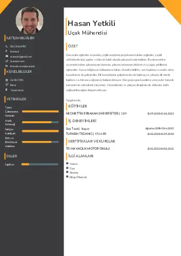 Havacılık Ve Uzay Uçak Mühendisi Cv Örnekleri cv indir